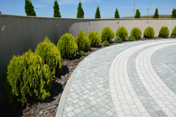Best Residential Paver Driveway  in Franklin, CA